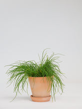 products/SotoProductShootLowQ-1713.jpg